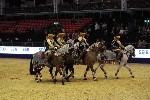 Quadrille - 00713